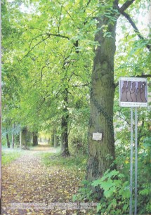 忙的話先靜下來2