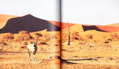 別讓世界只剩下動物園.deer
