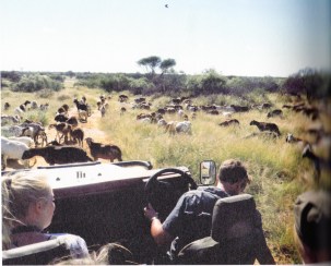 別讓世界只剩下動物園.explore