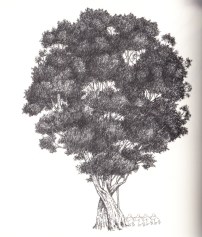 tree.p92