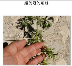 9dc45330-723d-4ff9-a0f6-daa048be3cf0 (1)